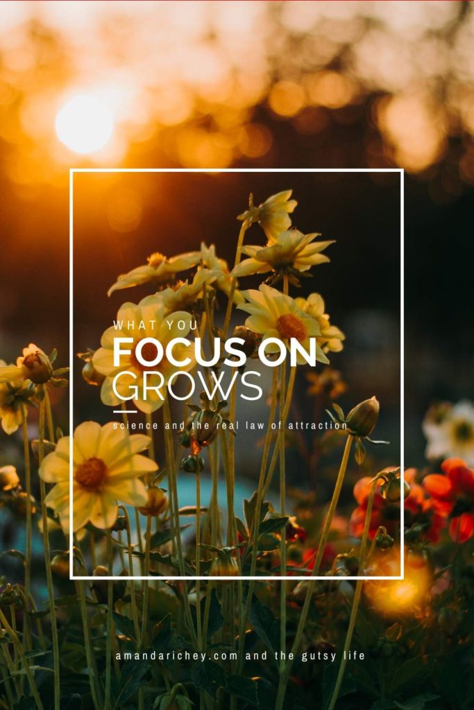 what you focus on grows: the law of attraction